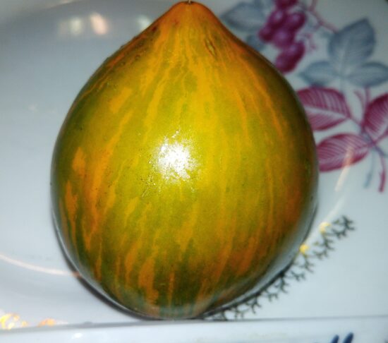 Гном сияние Вавилона